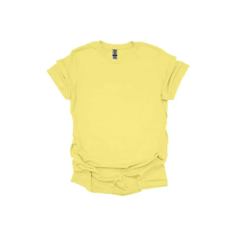 64000 Gildan Softstyle T-Shirt (S-M-L-XL)